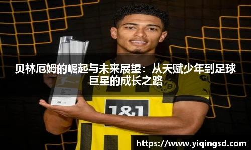 球速体育平台登录入口