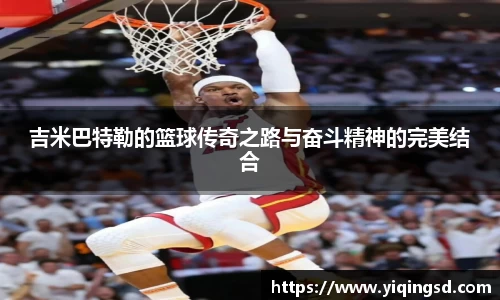 球速体育平台登录入口